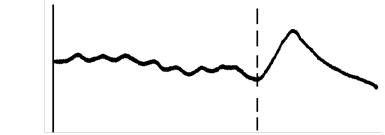 有內(nèi)部平衡網(wǎng)絡